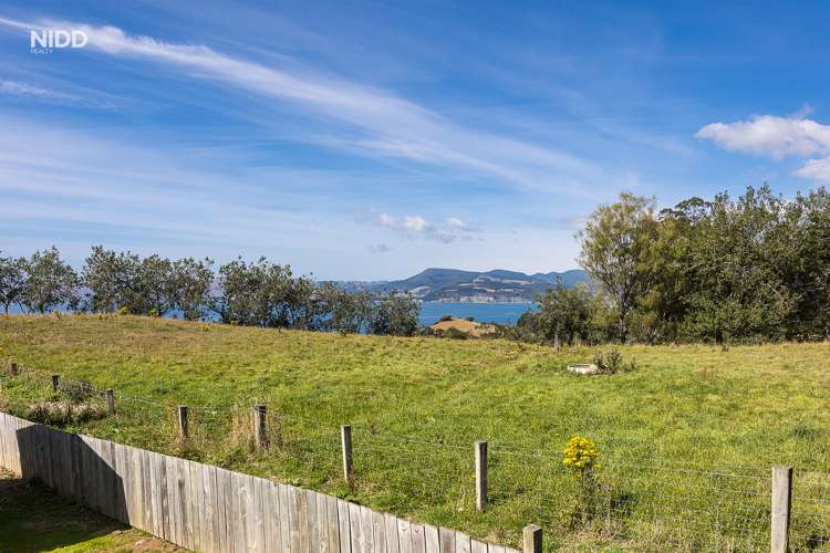 20 Kilgour Street Roslyn_6