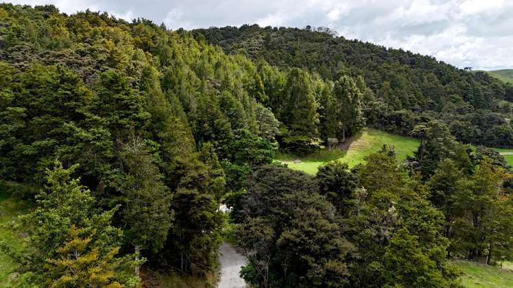 1158 Burma Road Tapora_5