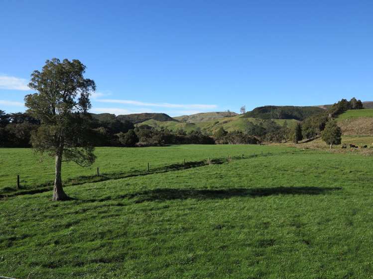 444 Aorere Valley Road Kahurangi National Park_23