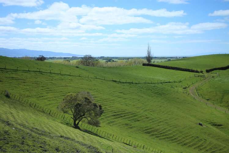 399 Mahuta Road Mangatarata_0