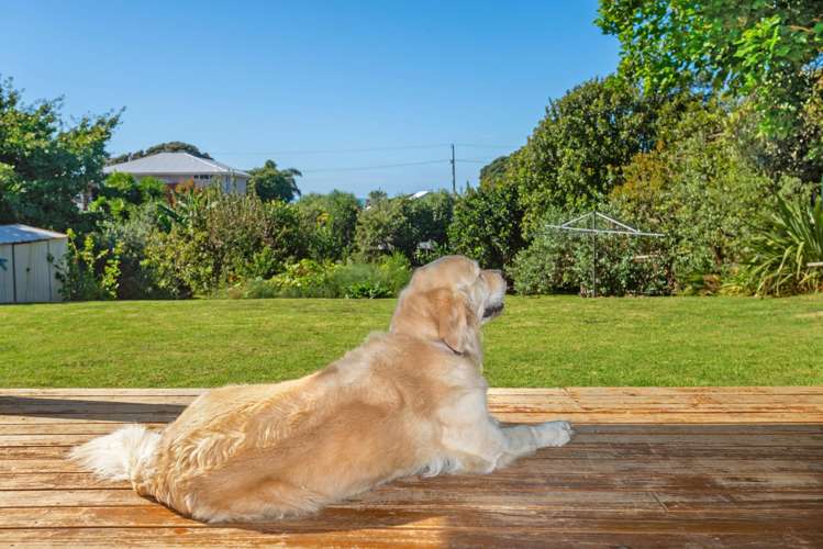 27 Douglas Street Okitu_23