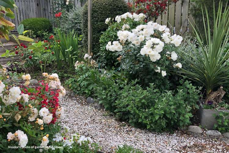 63 Inkerman Street Renwick_49