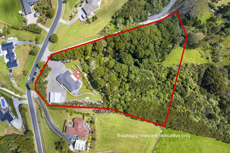 58 Viv Davie-Martin Drive Warkworth_19