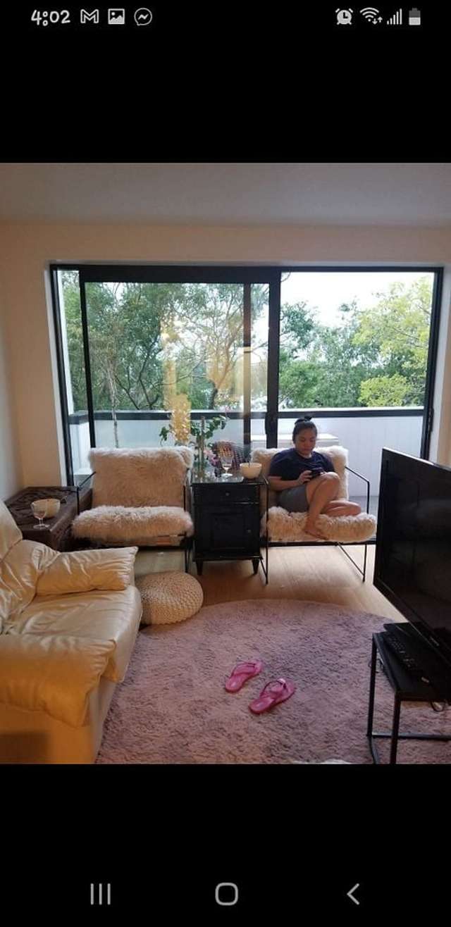 238 Princes Street East Otahuhu_2