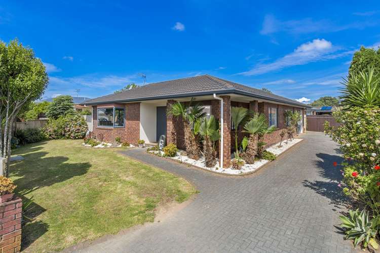 15 Pitt Avenue Clendon Park_0