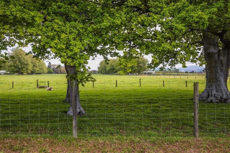 3 Crossley Avenue Woodend_14