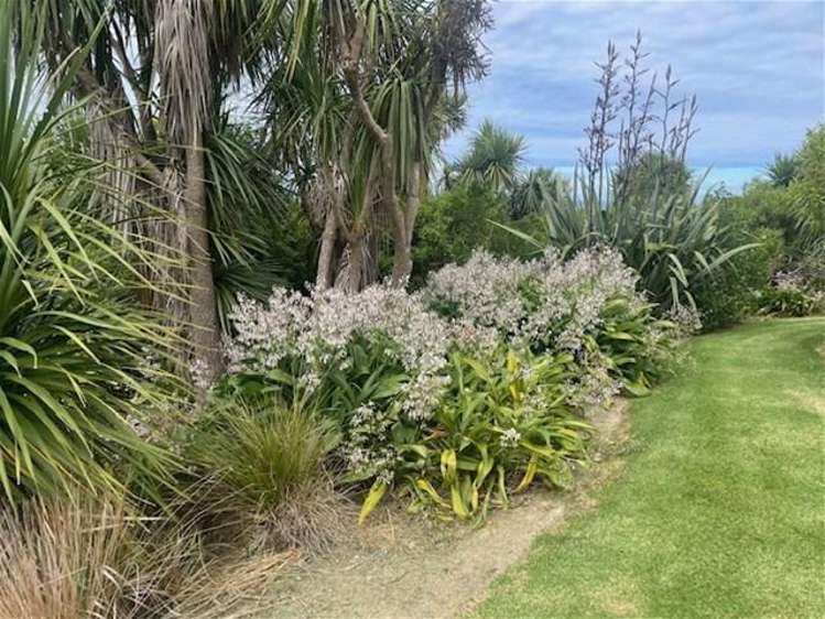 37 Ginty Way, Waipu Cove Waipu_23