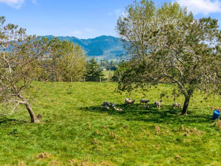 95D Pearsons Road Putaruru_11