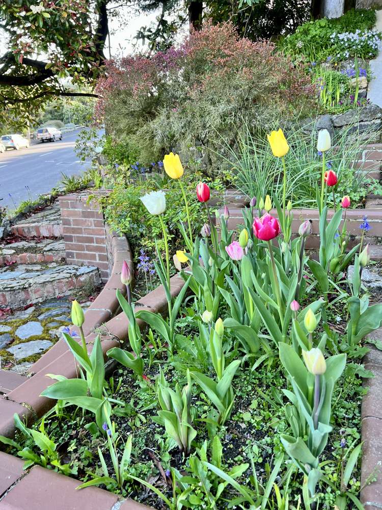 98 Stafford Street Dunedin Central_22