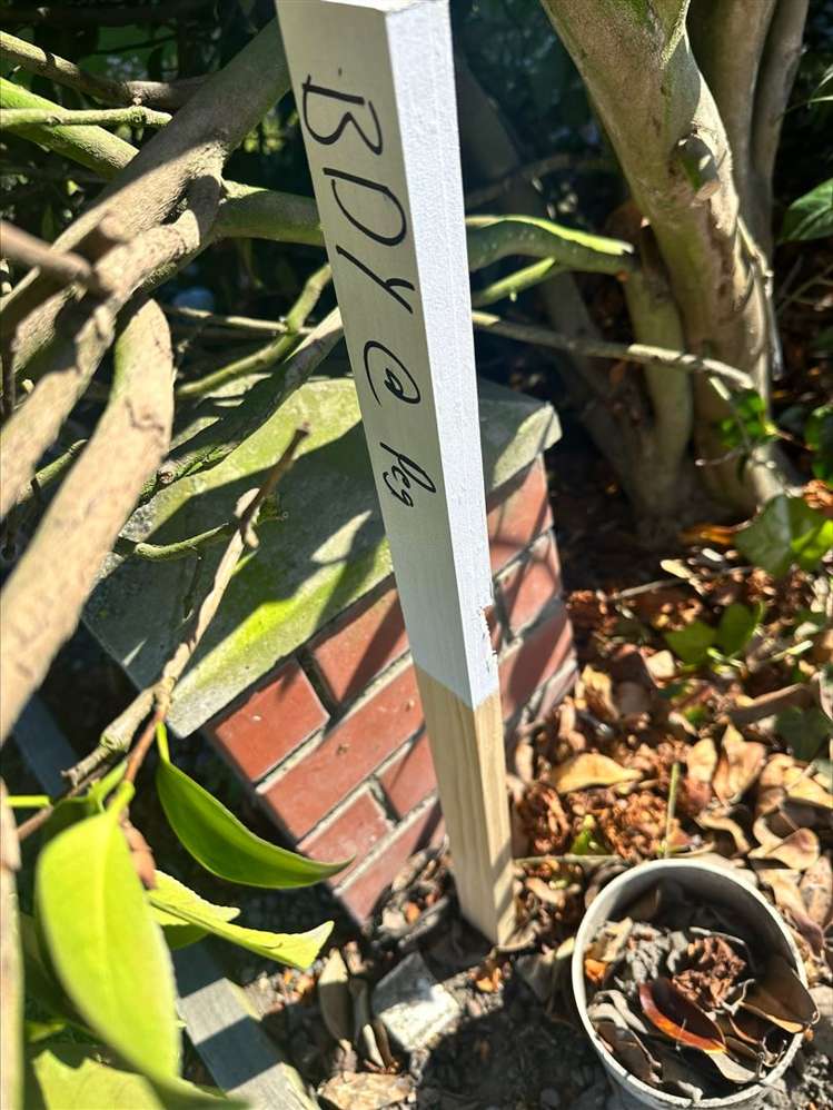 403 Halswell Road Halswell_18