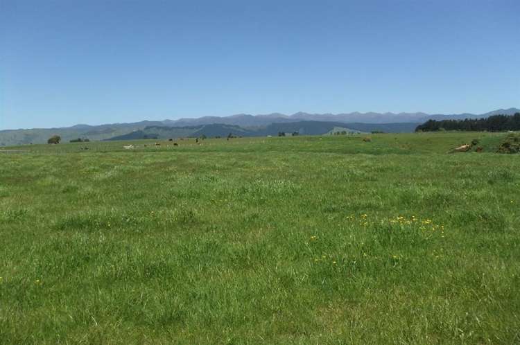 24 Ryland Park Levin_5