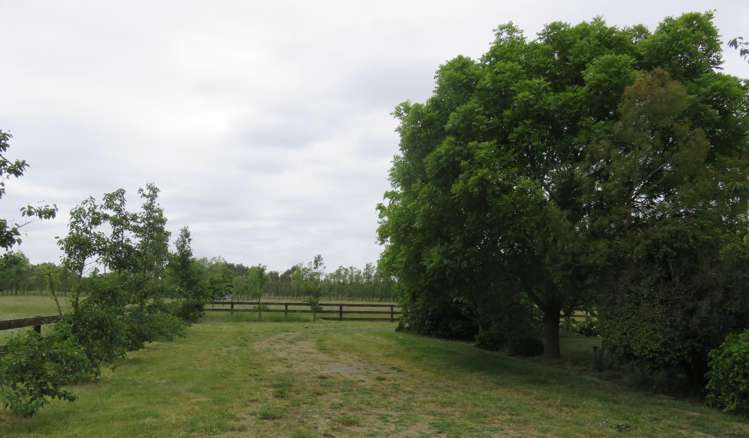 1521 Tram Road Swannanoa_7