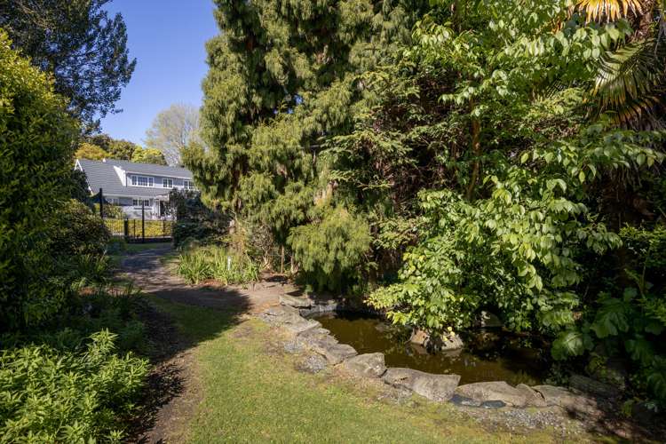 142 No 4 Road Te Puke_13