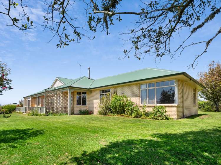 503 Allport Road Paengaroa_10