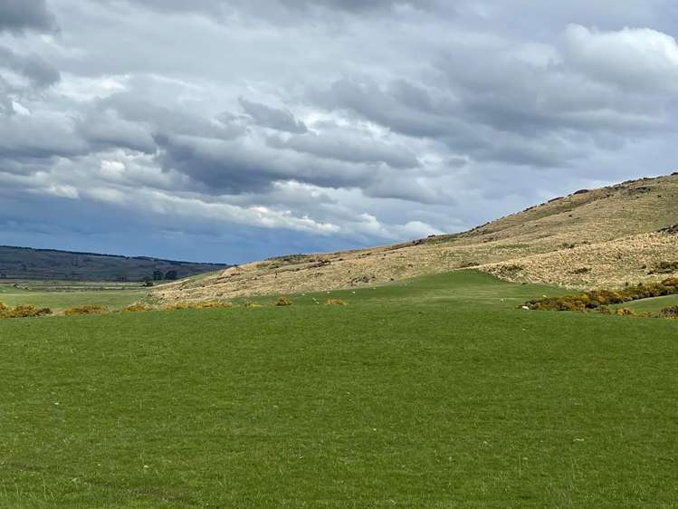 Lot 2 DP 595620 Gladbrook Road Middlemarch_11