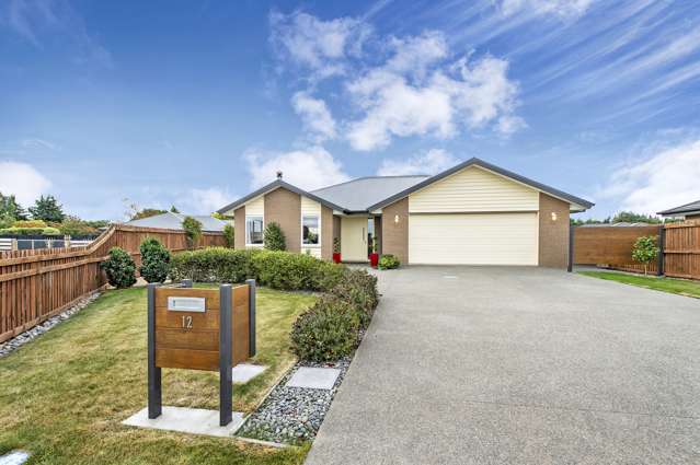 12 Vitruvius Way Leeston_1