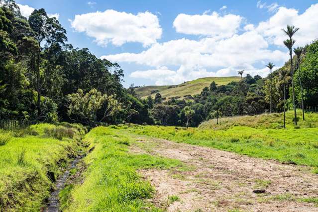 1672 Awhitu Road Waiuku_4