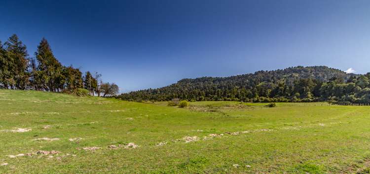 75 Railway Row Ohakune_8