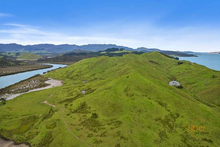 Brindle Road Whirinaki_10