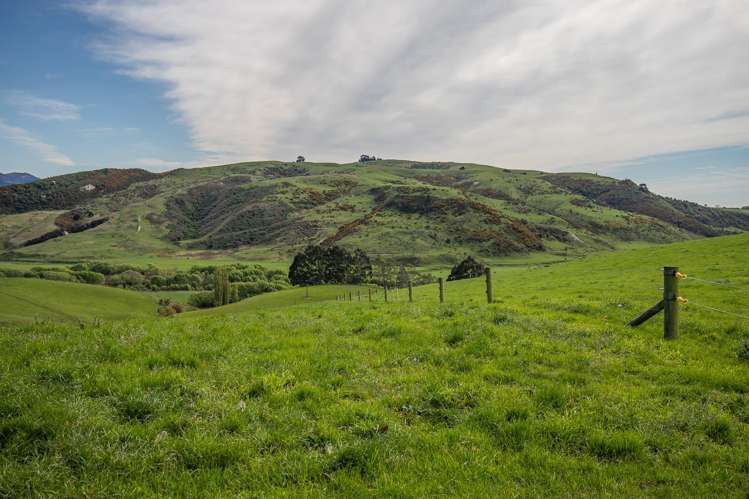 771 Gum Tree Flat Road Waimate_7