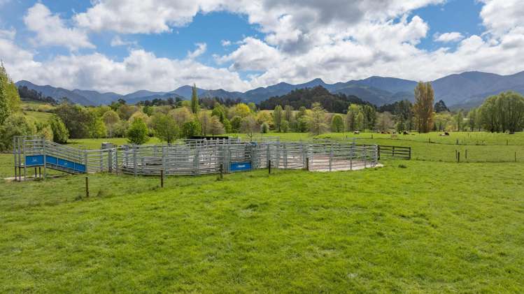 98 Thorpe-Orinoco Road Ngatimoti_37