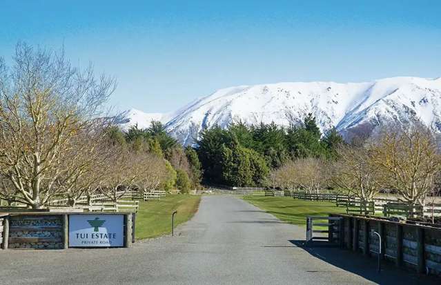 620 Coleridge Road Windwhistle_3