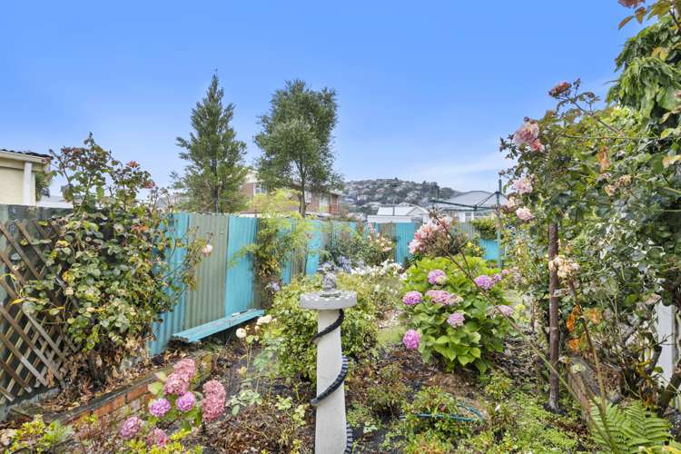 10 Nelson Street Forbury_13