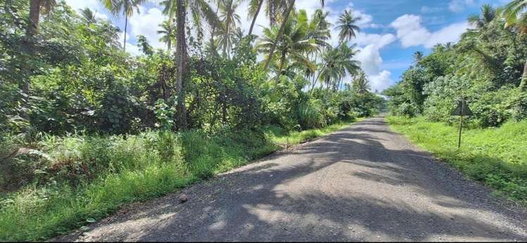 Lots 1,2,6 2, Navorau Estate Savusavu_5