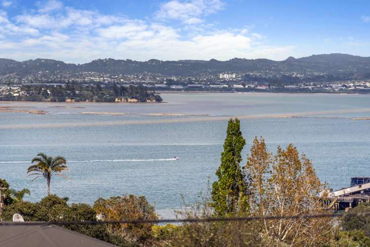 61 Palmerston Road Birkenhead_1