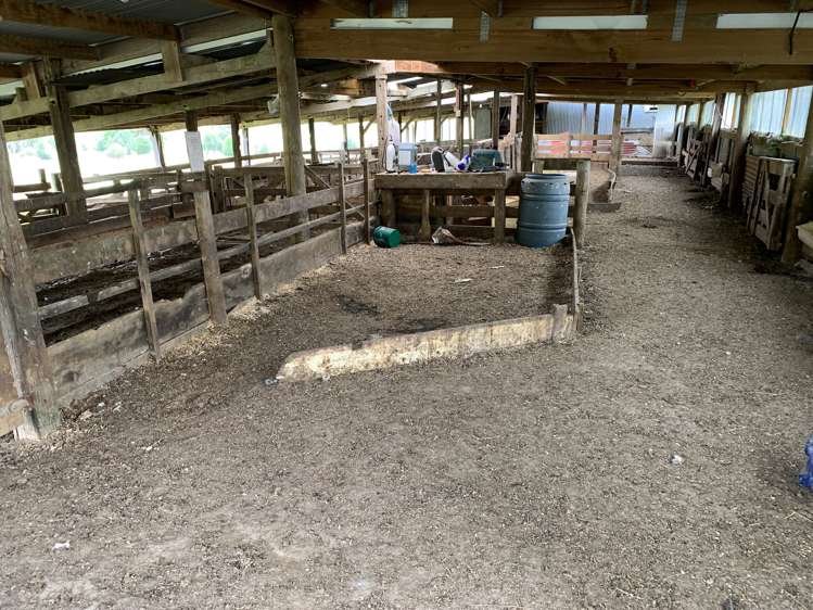 30 Heao Road Pohokura and Surrounds_13