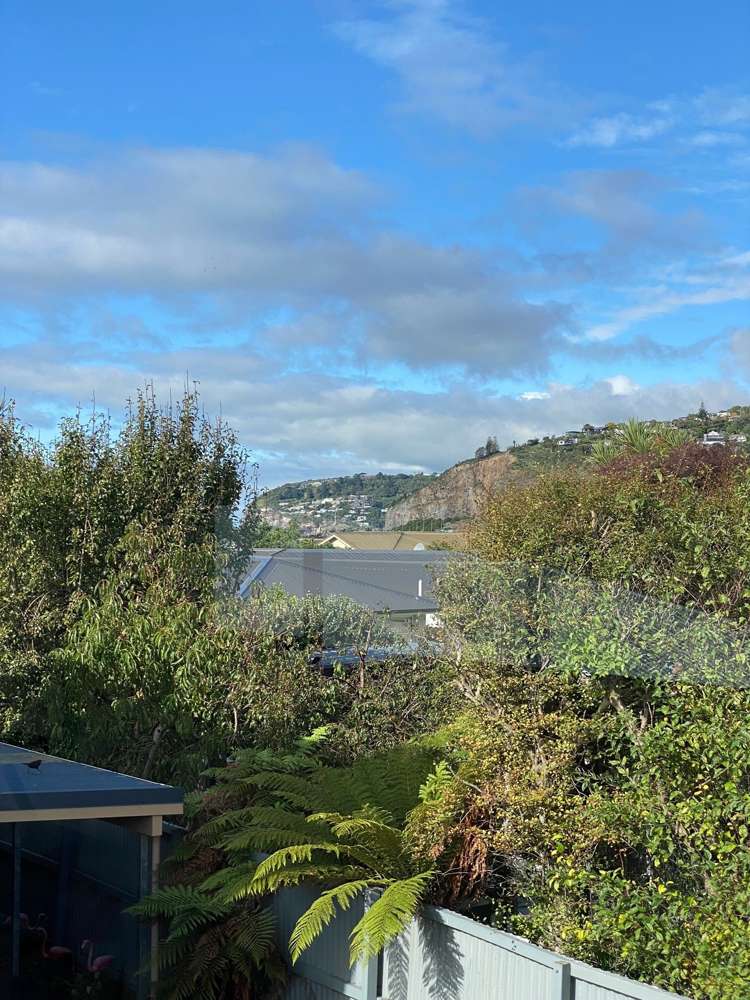 24b Celia Street Redcliffs_12