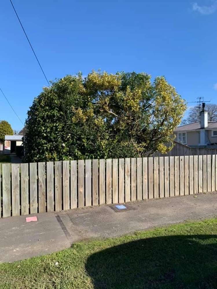 102 Cockburn Street Kuripuni_20