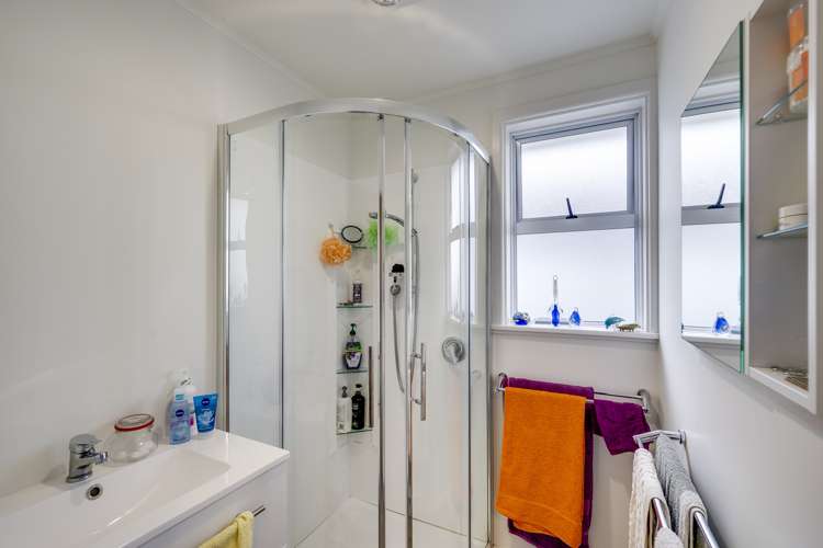 41 Massey Crescent Marewa_3