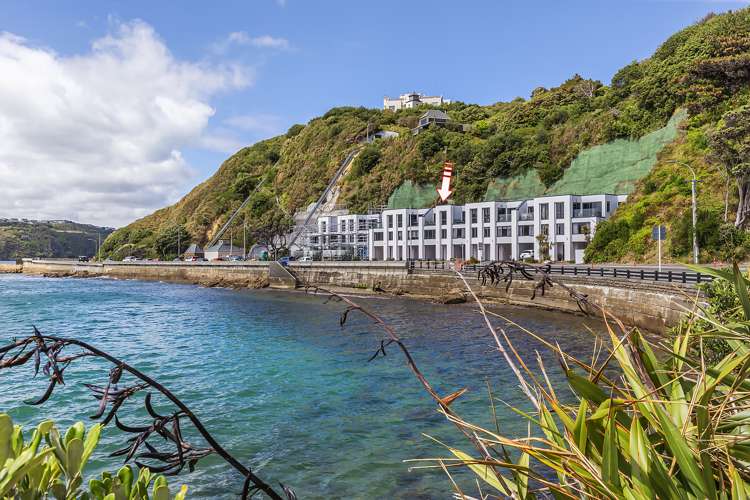 5/148 Evans Bay Parade Roseneath_16