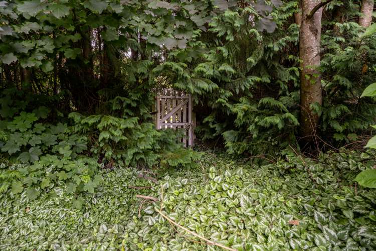 1206 Peel Forest Road Mesopotamia_19