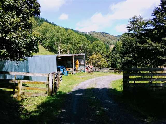 453 Kururau Road Taumarunui_3