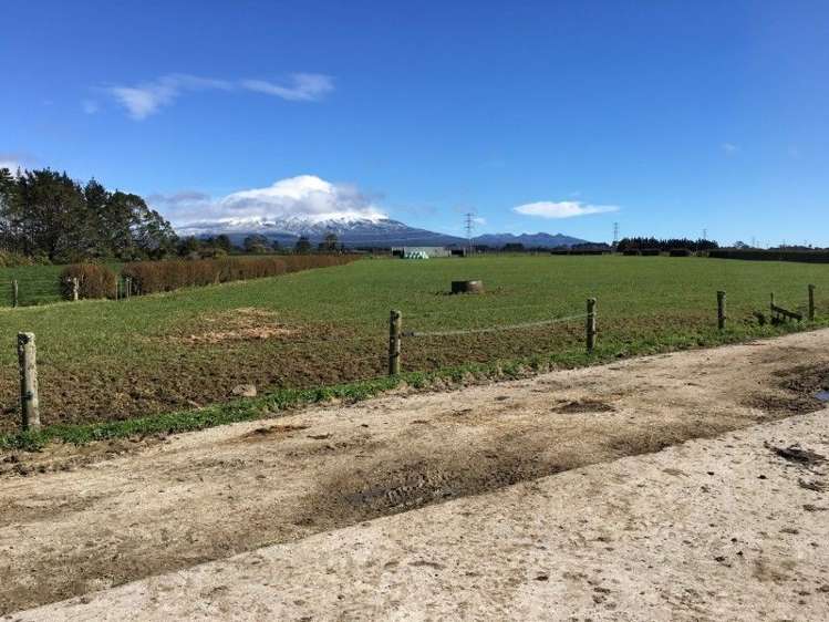 3280 Mountain Road Midhirst_10