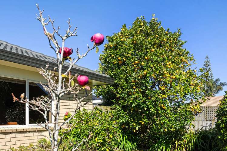 40 Settlers Grove Orewa_26