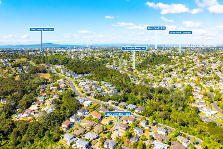 117c Glendhu Road Bayview_18