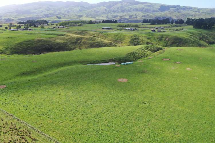 Spur Road Ashhurst_8