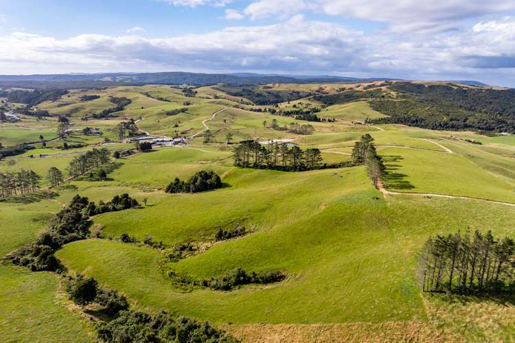 24 Foster Road Dargaville_22