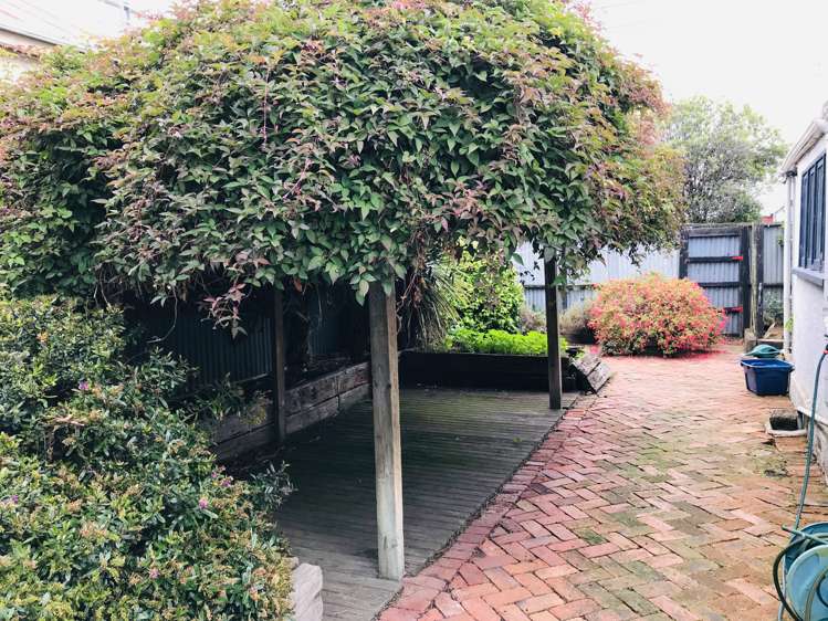 93 Oxford Street South Dunedin_13