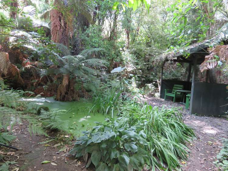 111 Hikumutu Road Taumarunui_17