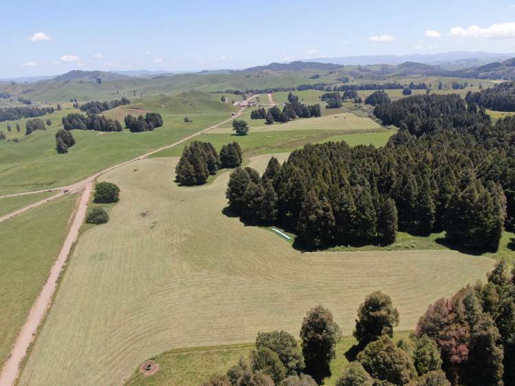 24 Pukeuha Road Aria_25