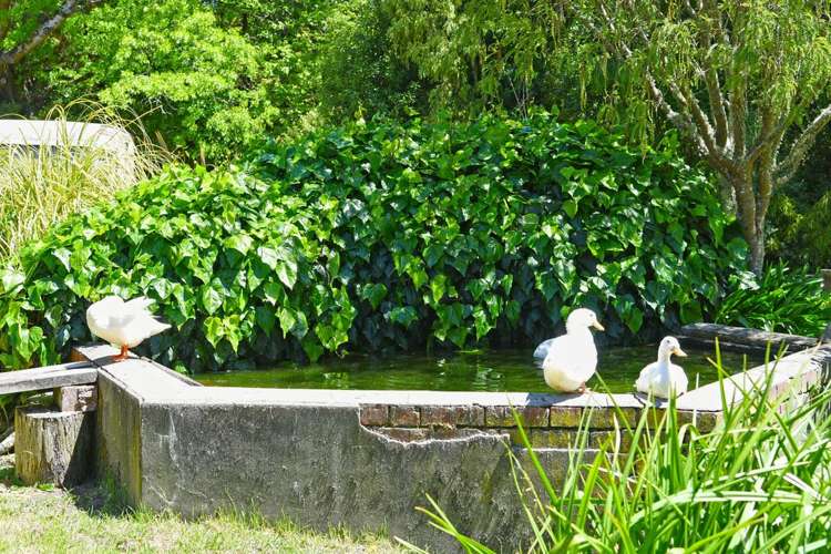 70 Blue Mountains Road Pinehaven_25