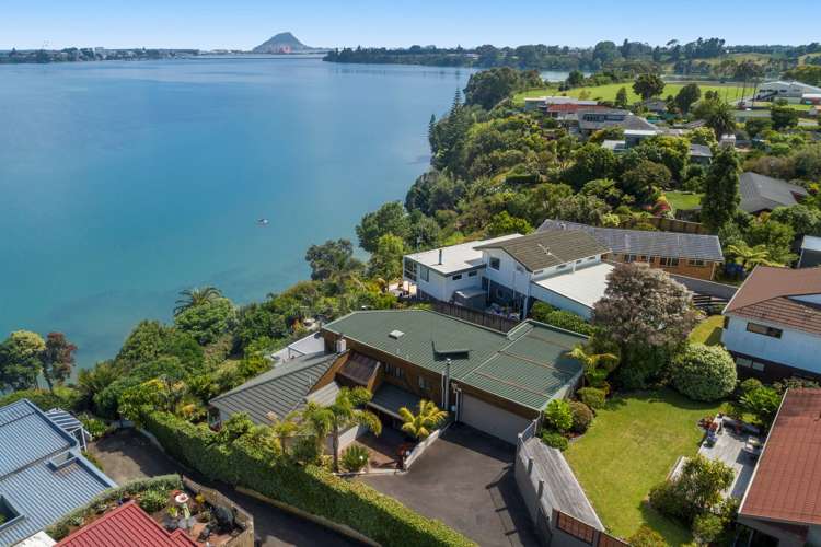 394 Maungatapu Road Maungatapu_7