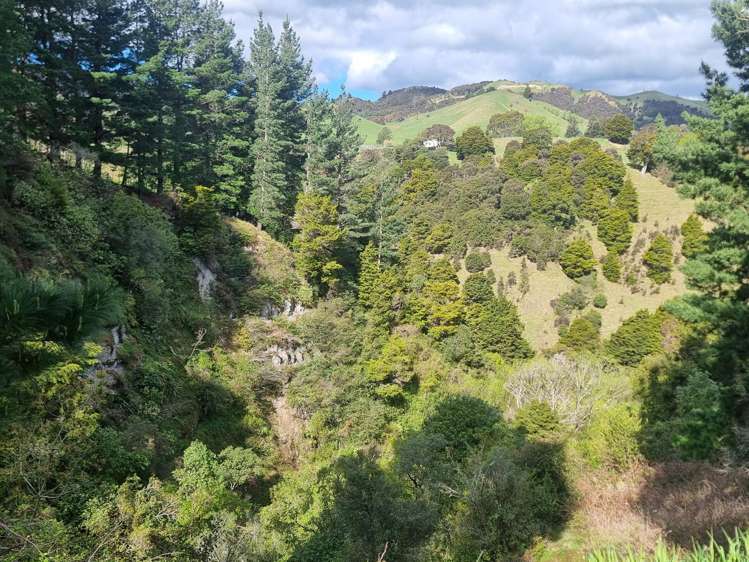 3345A Weber Road Dannevirke_20