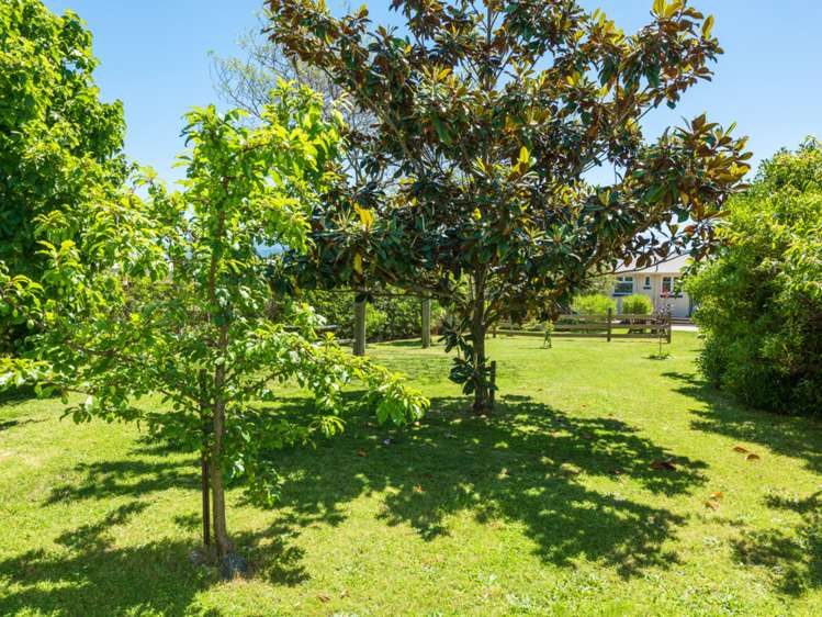 77 Havelock Street Renwick_20