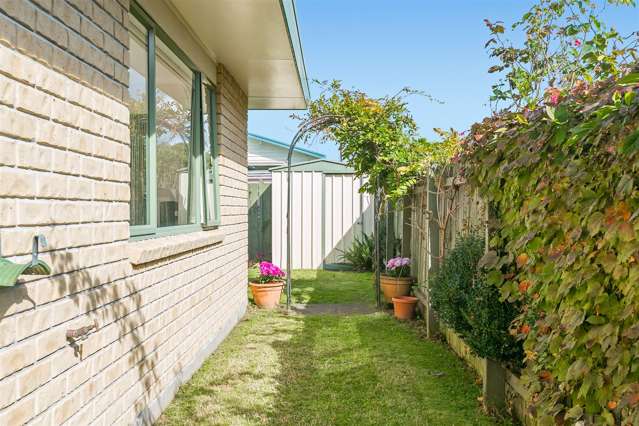 33 Sixteenth Avenue Tauranga South_3