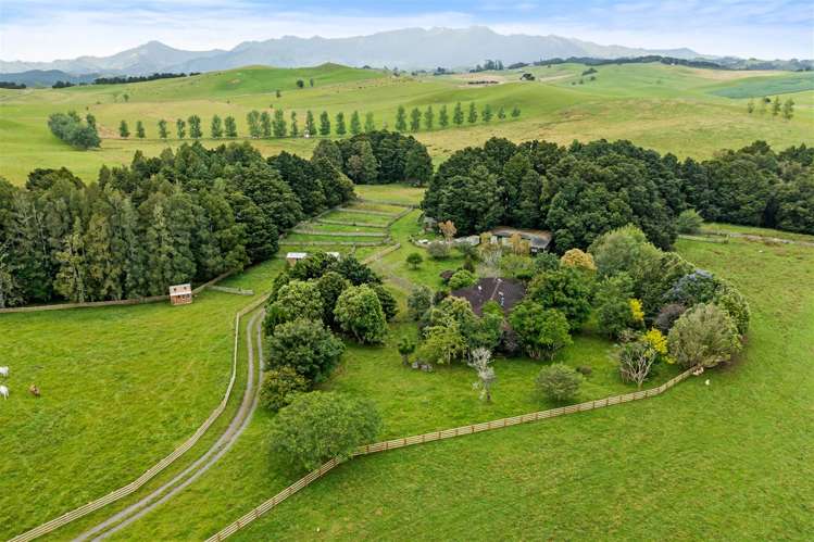 120 Springs Road Poroti_22